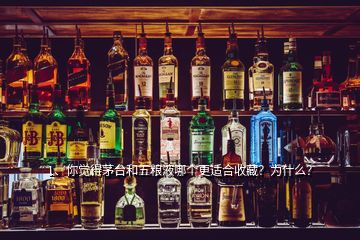 1、你覺得茅臺(tái)和五糧液哪個(gè)更適合收藏？為什么？