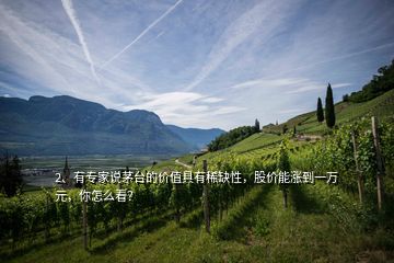 2、有專家說茅臺的價值具有稀缺性，股價能漲到一萬元，你怎么看？