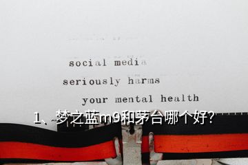 1、夢(mèng)之藍(lán)m9和茅臺(tái)哪個(gè)好？