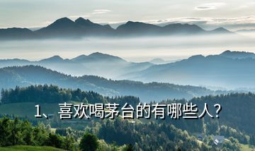 1、喜歡喝茅臺(tái)的有哪些人？