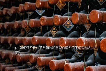 4、如何評價(jià)貴州茅臺鎮(zhèn)的醬香型白酒？值不值得你去買？