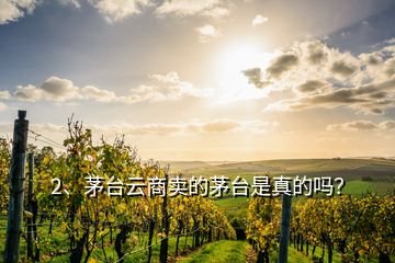 2、茅臺云商賣的茅臺是真的嗎？