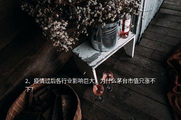 2、疫情過后各行業(yè)影響巨大，為什么茅臺市值只漲不下？