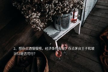 2、想存點酒慢慢喝，經(jīng)濟條件有限，存點茅臺王子和玻汾53是否可行？