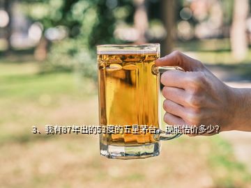 3、我有87年出的53度的五星茅臺(tái)，現(xiàn)能估價(jià)多少？