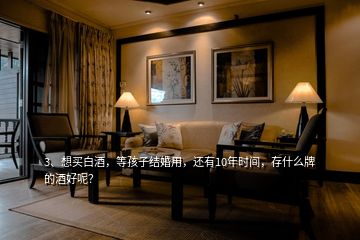 3、想買白酒，等孩子結婚用，還有10年時間，存什么牌的酒好呢？