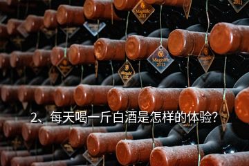 2、每天喝一斤白酒是怎樣的體驗？