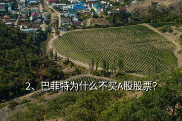 2、巴菲特為什么不買A股股票？