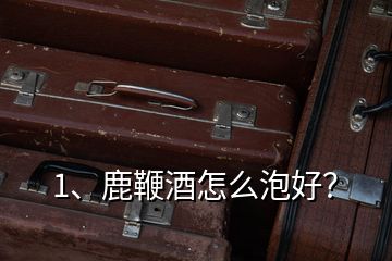 1、鹿鞭酒怎么泡好？