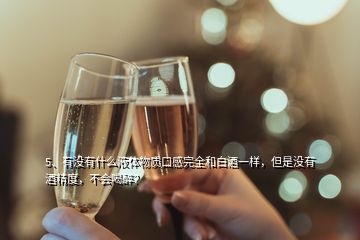5、有沒有什么液體物質(zhì)口感完全和白酒一樣，但是沒有酒精度，不會(huì)喝醉？