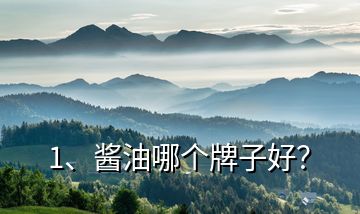 1、醬油哪個(gè)牌子好？