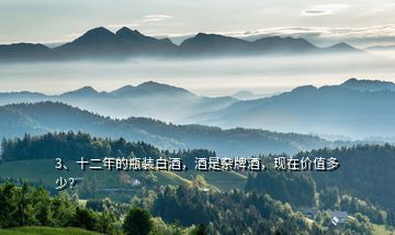 3、十二年的瓶裝白酒，酒是雜牌酒，現(xiàn)在價值多少？