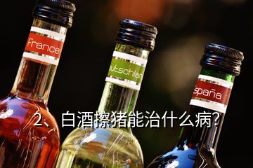 2、白酒擦豬能治什么?。?></p><p>白酒是生活中的交際品，更是廚房中的調(diào)料，在豬場中也有很多的妙用，少量的白酒能夠活血、散寒等作用；今天就給大家說下白酒在豬場中的妙用；1、母豬不給小豬吃奶咬小豬，這個(gè)時(shí)候耳朵灌服20ml，或者口服100ml-250ml高度酒看看，一般就能很快安靜了；2、豬群合圈，出現(xiàn)打架的時(shí)候，可以噴白酒，有時(shí)候也用花露水，只要味道一樣了一般就不咬架了，并圈注意晚上做，因?yàn)樨i本身眼神就不好；3、母豬不發(fā)情、沒有奶水的情況下，炒紅糖搭配白酒口服效果好；4、母豬乳房炎，單純的藥物治療效果可能不是特別及時(shí)，咱們的小豬還得著吃奶，可以注射藥物的同時(shí)，熱毛巾敷乳房，如果上面加上高度白酒或者有醋效果會(huì)更好；5、臍疝、脫肛等，出現(xiàn)的時(shí)候首先歸位，然后分點(diǎn)皮下注射酒精；每個(gè)地方2ml，可以刺激豬形成組織，長起來就能堵住出來的腸道；7、豬腦袋歪1側(cè)，如果藥物不好的時(shí)候，可以用白酒注射另一側(cè)的脖子，有時(shí)候就能治好；8、小豬拉稀，適量后海穴注射能夠起到治療作用；9、豬如果中暑了，或者高燒的時(shí)候，可以用白酒擦下；10、長途運(yùn)輸，為了防止應(yīng)激也可以口服些白酒，這樣豬就毛病少了；白酒因?yàn)橛袣⒕淖饔?，所以是能夠控制不少的疾??；但是酒糟使用的時(shí)候要注意用量；白酒的10個(gè)妙用，減少豬場問題，不花錢解決大家的豬??！。</p>
</div>
</div>
<div   id=