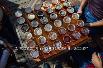 2、喝白酒二十年了，想戒掉但是忍不住，該怎么辦？