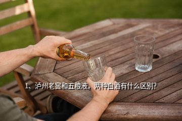 1、瀘州老窖和五糧液，兩種白酒有什么區(qū)別？