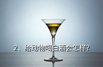 2、給動(dòng)物喝白酒會(huì)怎樣？