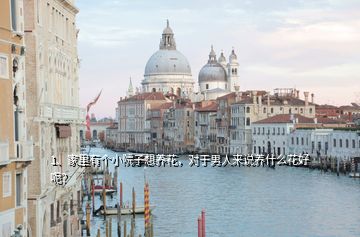 1、家里有個小院子想養(yǎng)花，對于男人來說養(yǎng)什么花好呢？