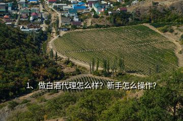 1、做白酒代理怎么樣？新手怎么操作？