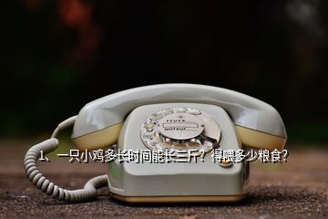 1、一只小雞多長時(shí)間能長三斤？得喂多少糧食？