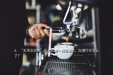 3、“五洋汾古郎”五大名酒一窩蜂漲價，白酒行業(yè)怎么了？