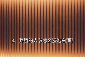 3、養(yǎng)殖的人參怎么浸泡白酒？