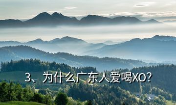 3、為什么廣東人愛(ài)喝XO？