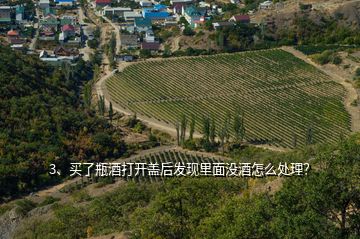 3、買了瓶酒打開蓋后發(fā)現(xiàn)里面沒酒怎么處理？