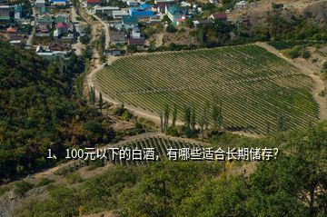 1、100元以下的白酒，有哪些適合長(zhǎng)期儲(chǔ)存？