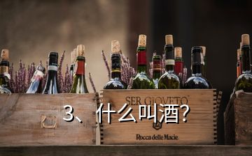3、什么叫酒？