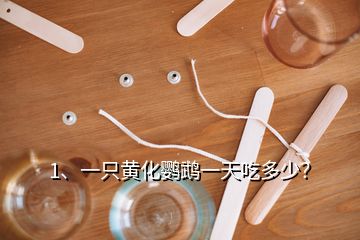 1、一只黃化鸚鵡一天吃多少？