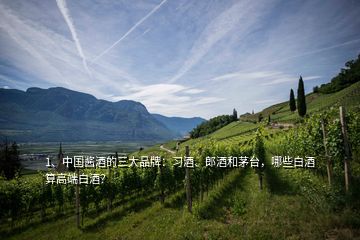1、中國醬酒的三大品牌：習酒、郎酒和茅臺，哪些白酒算高端白酒？