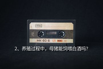 2、養(yǎng)殖過程中，母豬能飼喂白酒嗎？