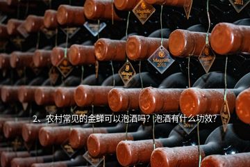 2、農(nóng)村常見的金蟬可以泡酒嗎？泡酒有什么功效？