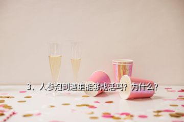 3、人參泡到酒里能夠成活嗎？為什么？