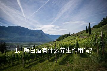 1、喝白酒有什么養(yǎng)生作用嗎？