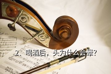 2、喝酒后，頭為什么會暈？