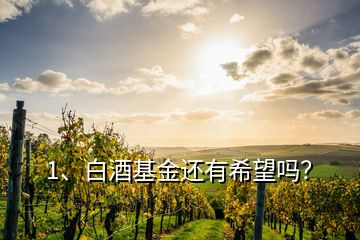 1、白酒基金還有希望嗎？