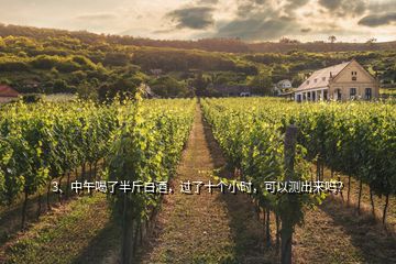 3、中午喝了半斤白酒，過了十個小時，可以測出來嗎？