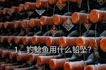 1、釣鯰魚用什么鉛墜？
