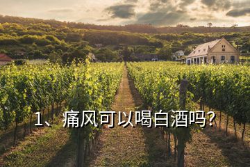 1、痛風可以喝白酒嗎？