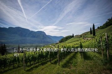 1、為什么很多老人愛喝白酒？老年人適當(dāng)喝白酒有好處嗎？