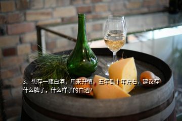 3、想存一瓶白酒，用來升值，五年到十年左右，建議存什么牌子，什么樣子的白酒？