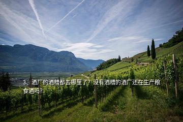 3、酒廠的酒糟都去哪里了？沒(méi)有酒糟的酒廠還在生產(chǎn)糧食酒嗎？