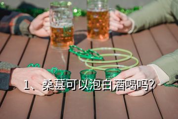 1、桑葚可以泡白酒喝嗎？