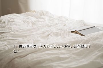 2、白酒股反攻，主力資金買入龍頭股，調(diào)整結(jié)束了么？