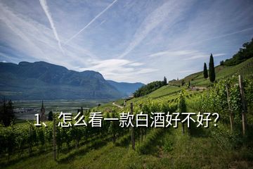 1、怎么看一款白酒好不好？