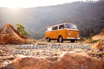 5、白酒板塊遭遇滑鐵盧，貴州茅臺(tái)一天蒸發(fā)645億市值，原因是什么？