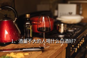 1、酒量不大的人喝什么白酒好？