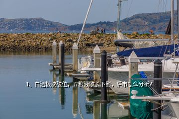 1、白酒板塊破位，五糧液收長下影，后市怎么分析？