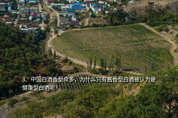3、中國白酒香型眾多，為什么只有醬香型白酒被認為是健康型白酒呢？